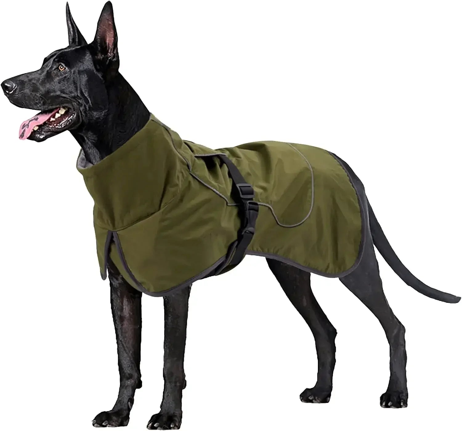 Keep Your Pet Warm - Jackets