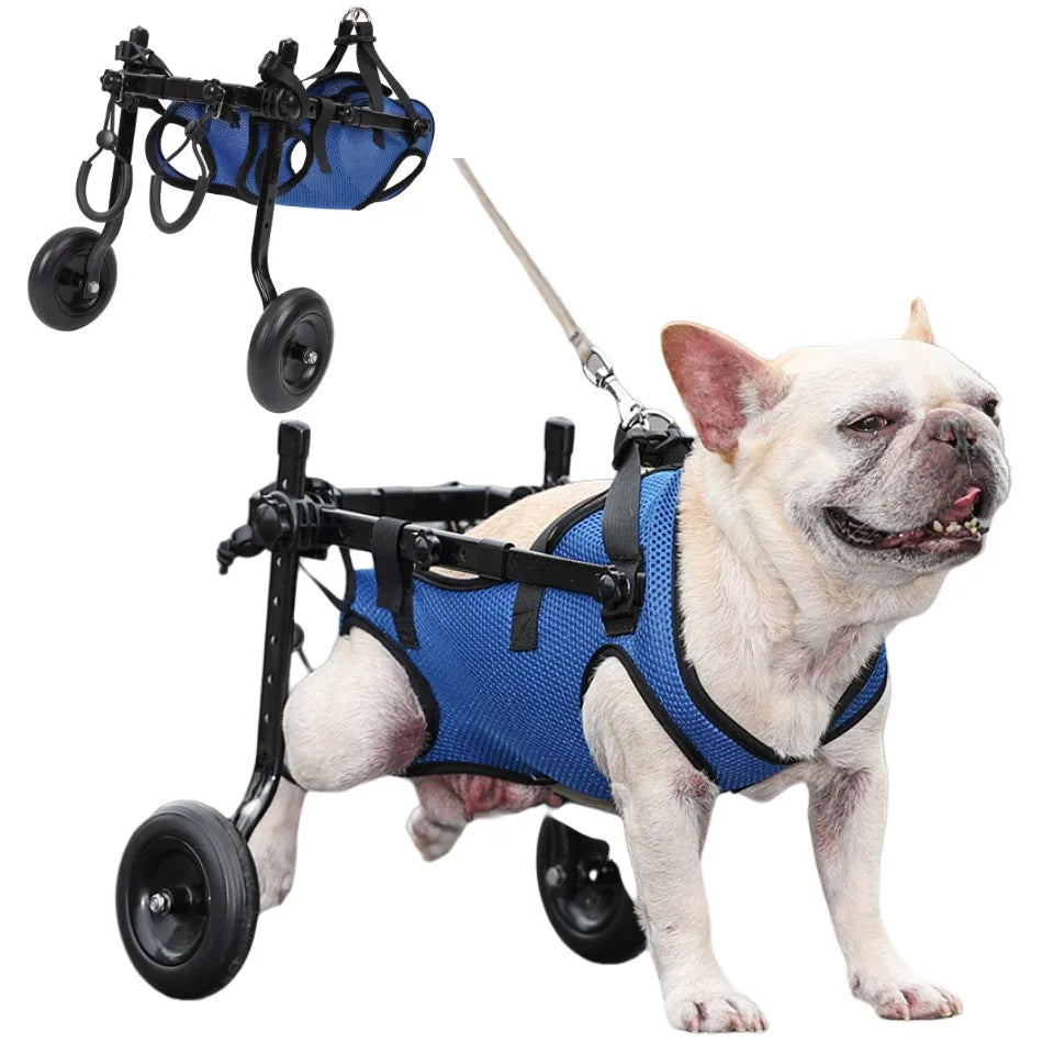 Mobility Aids