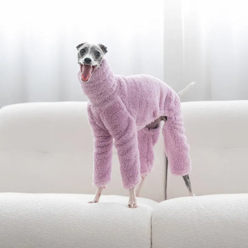 Keep Your Pet Warm - Sweaters