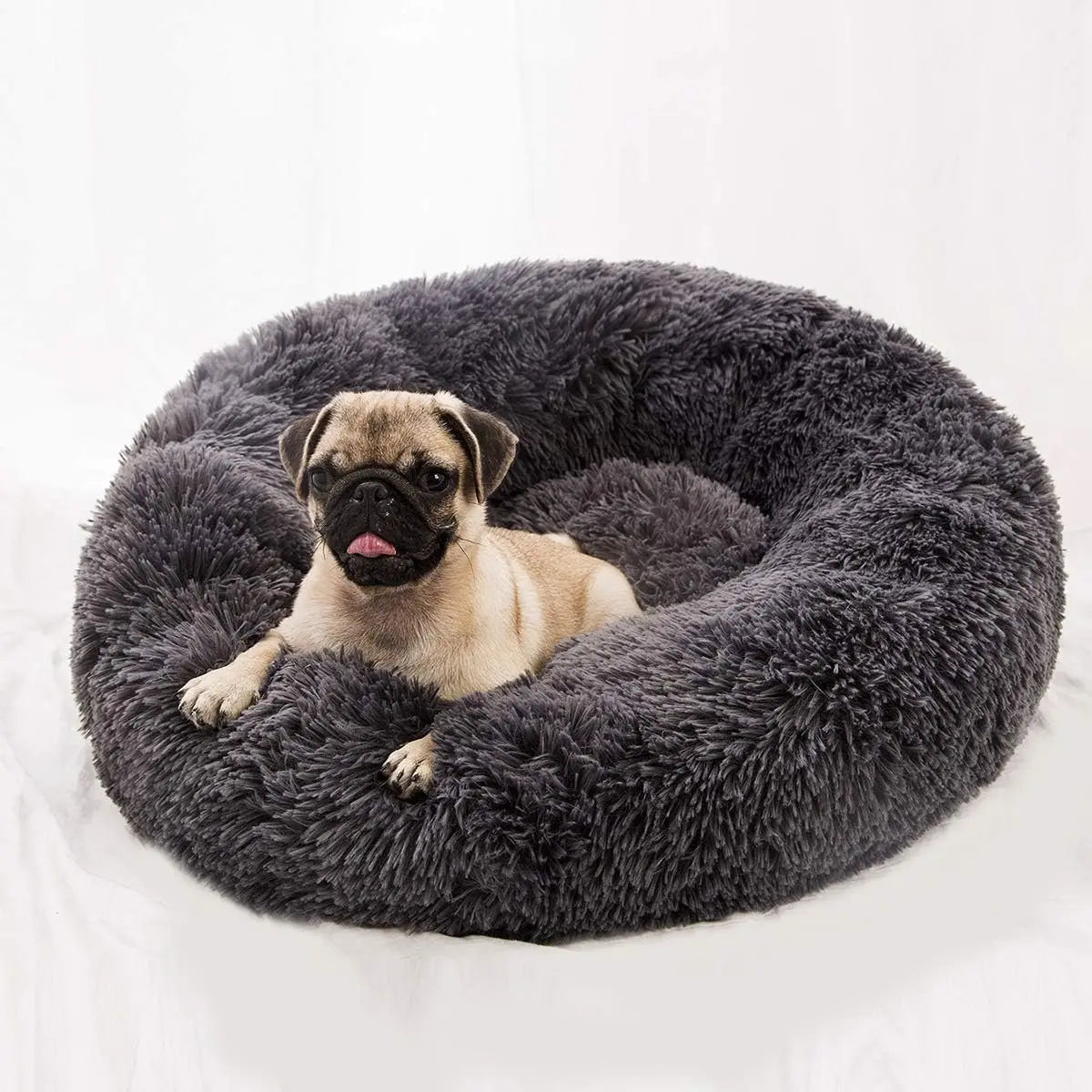 Keep Your Pet Warm - Beds