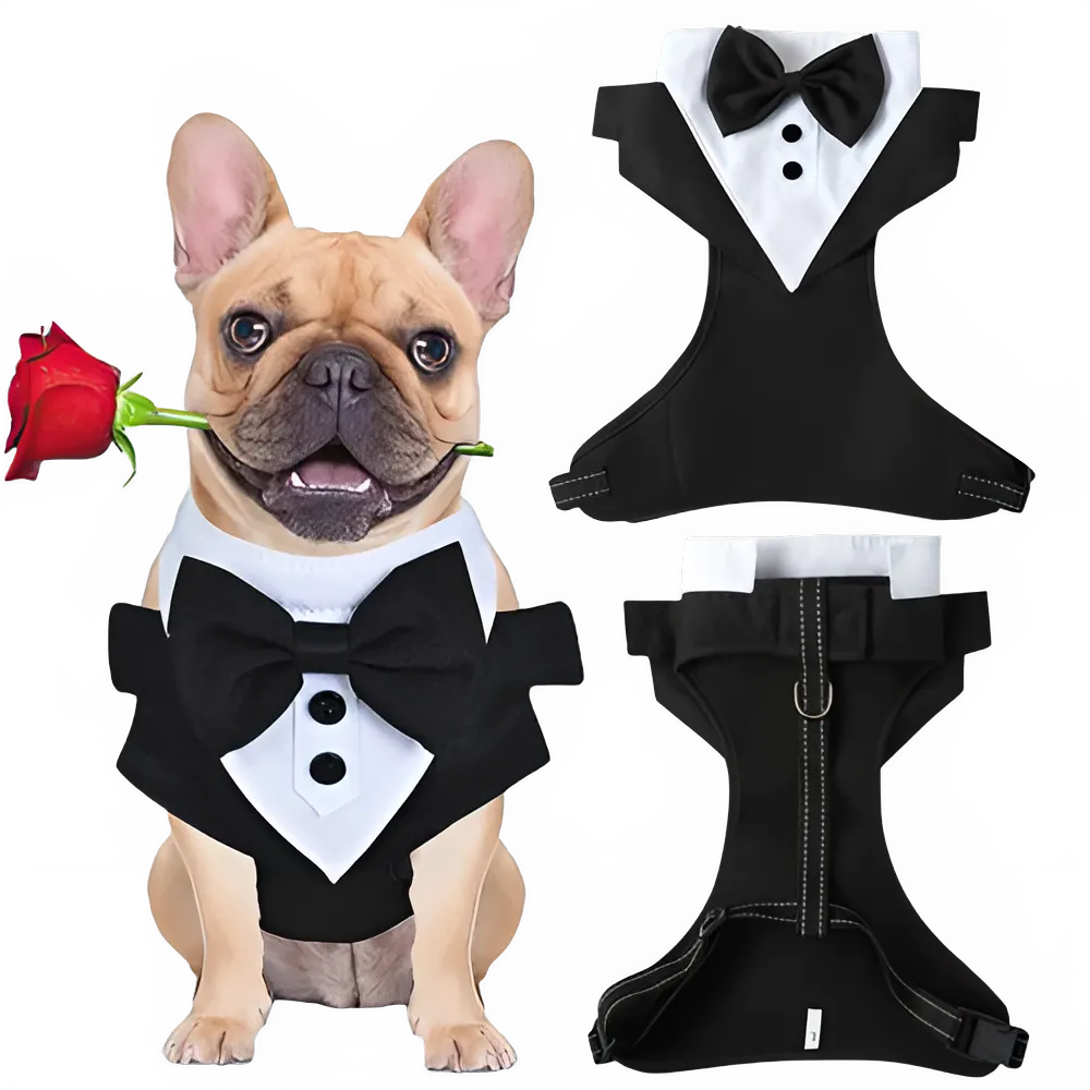 36585285-1fcb-4d16-867d-df3fdfb6597a