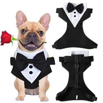 36585285-1fcb-4d16-867d-df3fdfb6597a