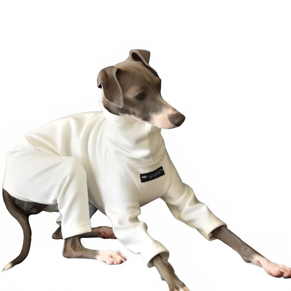 4b96e779-5ad6-4de8-ad2d-295b9b8dac6e