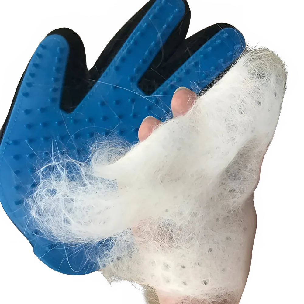 5f723e5e-1091-4514-b47c-1bcc800dc30a