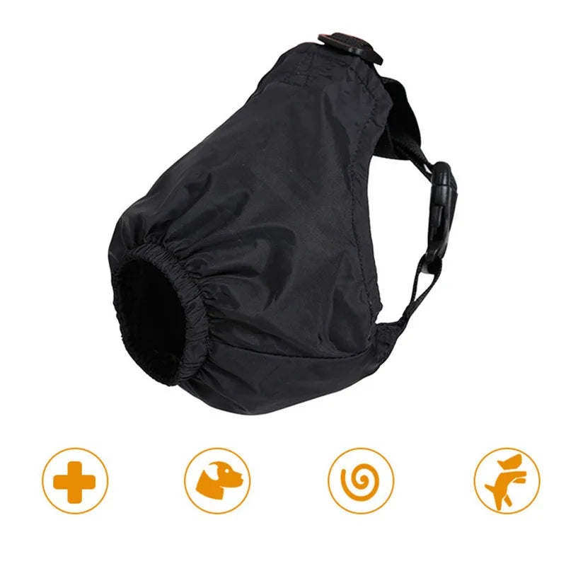 HTB1ym9NX2b2gK0jSZK9q6yEgFXam