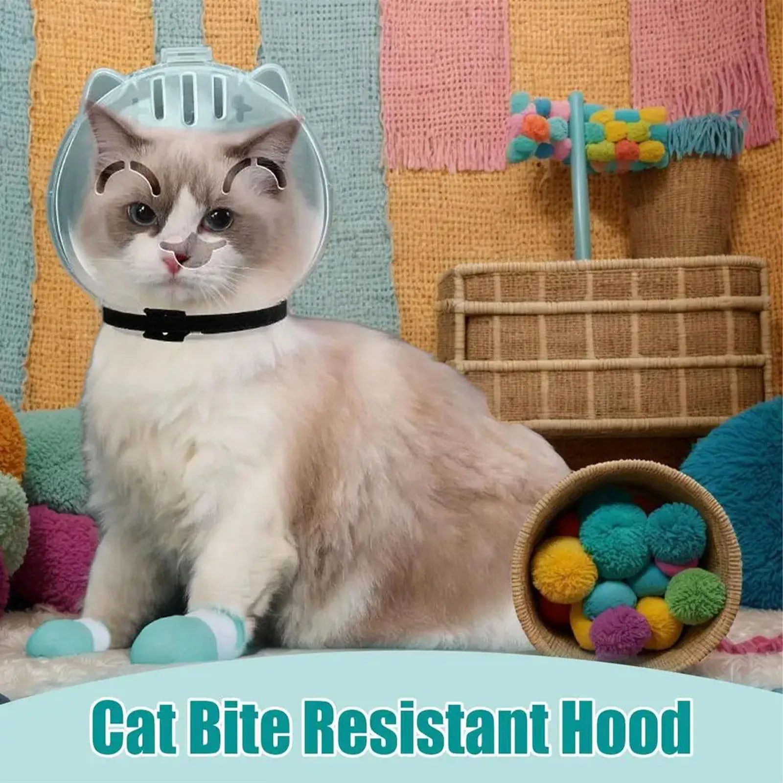 S000b8f27bdcb4768bdee77973b7e11beR