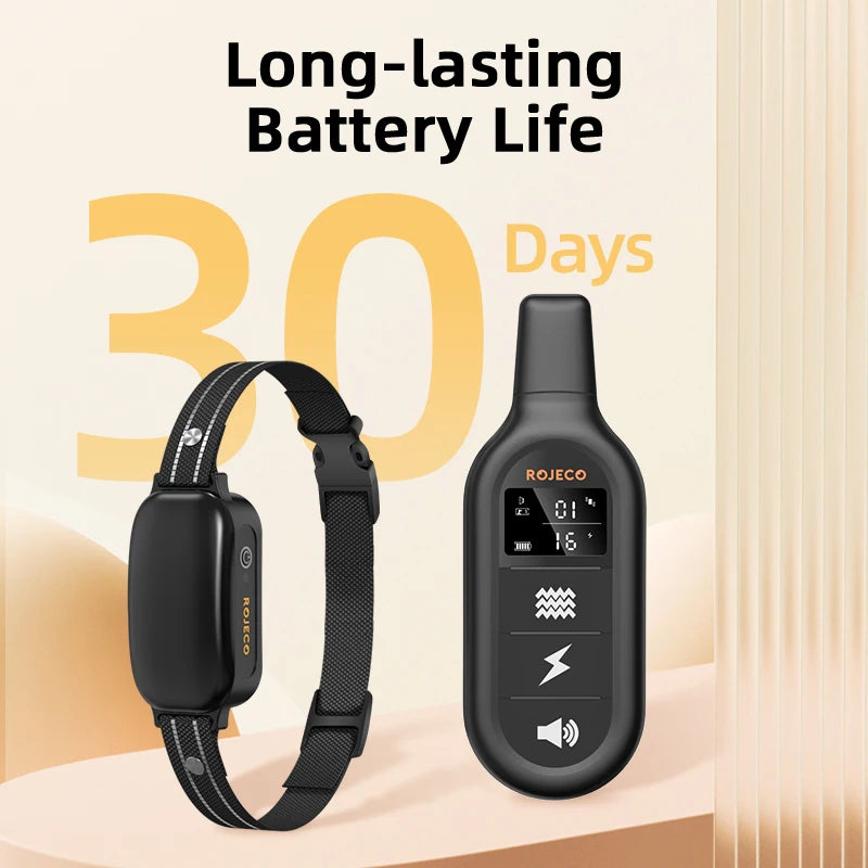 S033762dc4cc144238e70129c6f5ddfa2w