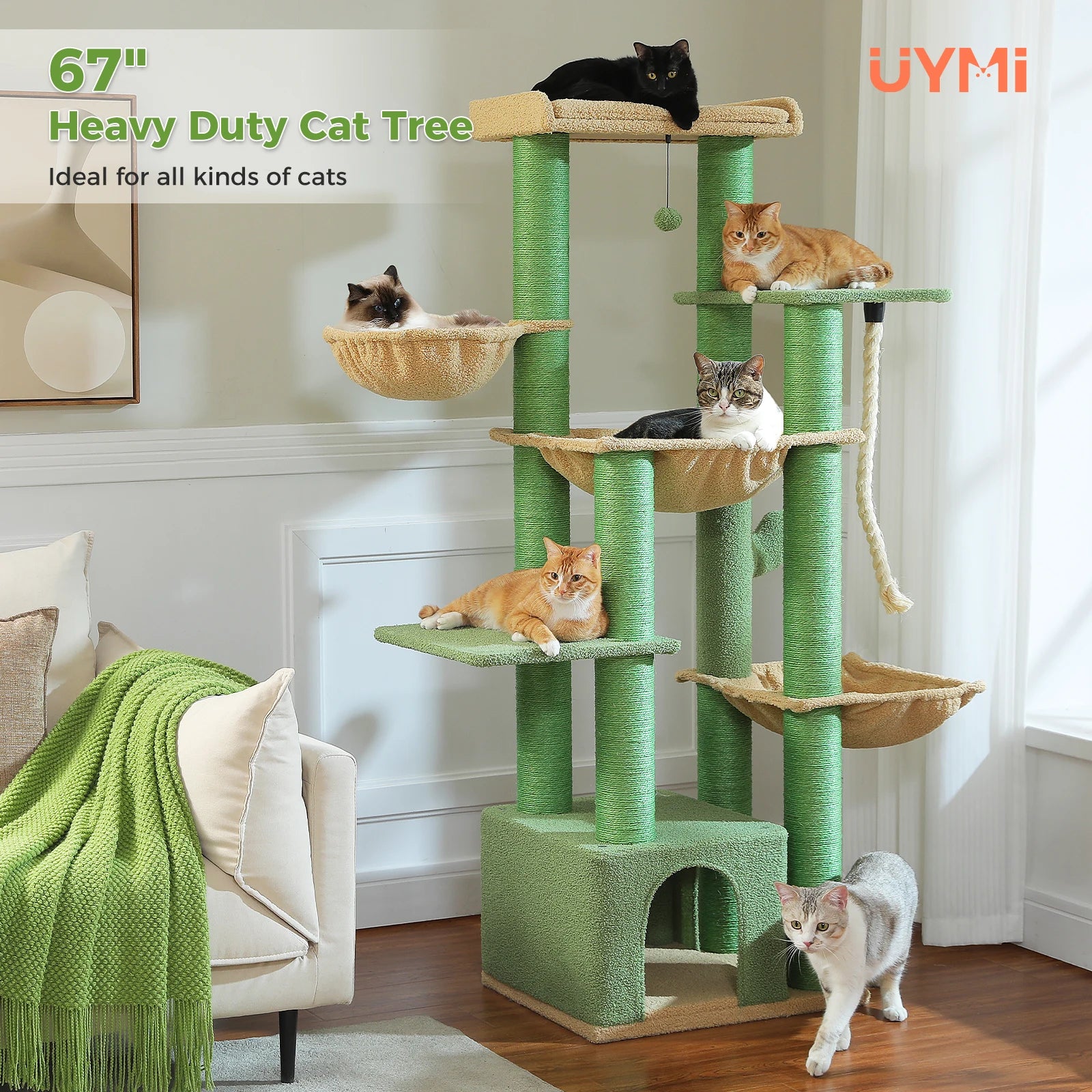 S0acf394be35c451399ec7d969d296a812