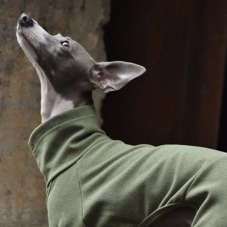 S0da645947a5747878425f21a391d363cB