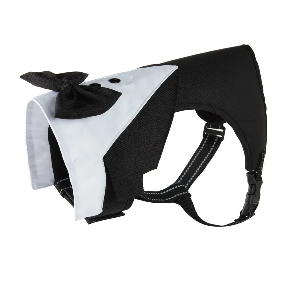 S0fd87ff986664a428c25a4fe9c955055I