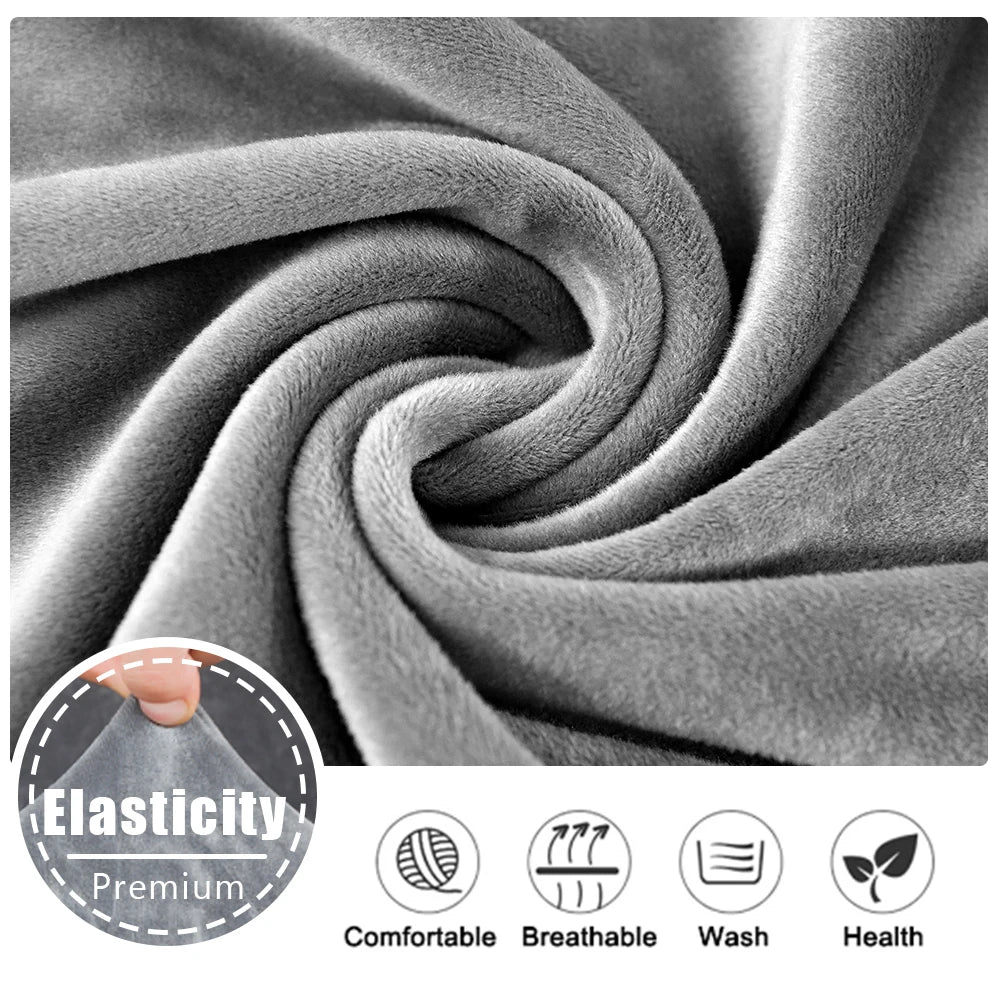 S11d582cebeeb44bda8b8e666084ea2d8W