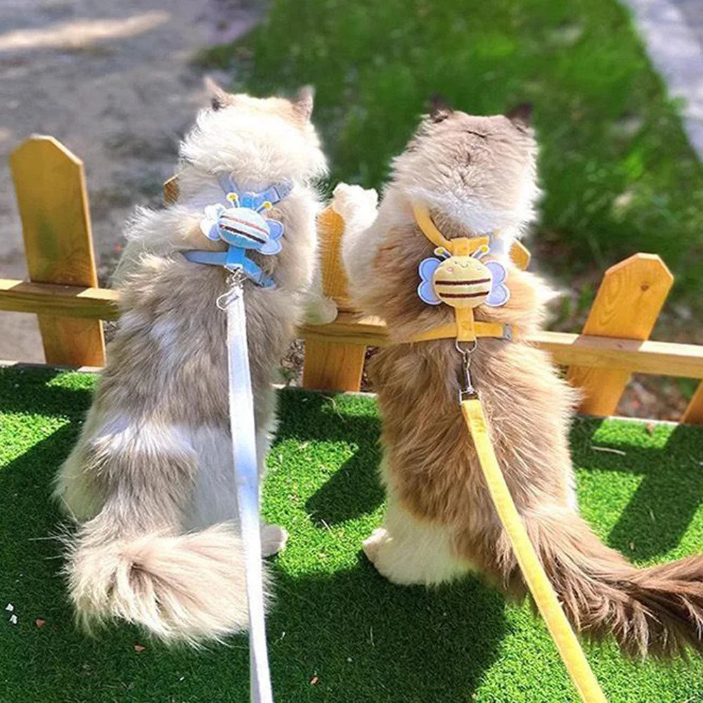 S12e3431a25ec4ea48ad2b4f488943c89r