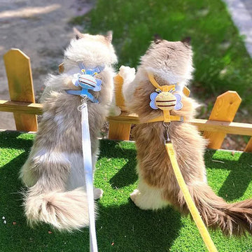 S12e3431a25ec4ea48ad2b4f488943c89r