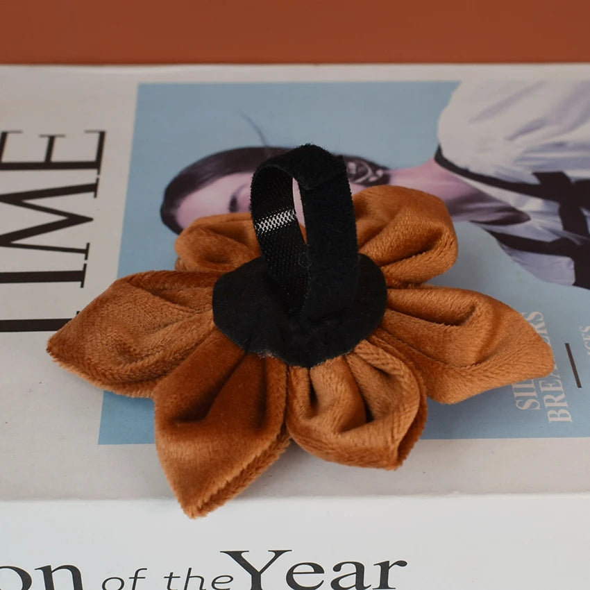 S1e25a798016046fb8b1396d2466990bc9