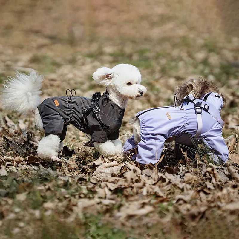 S25185c4e4f654625a1e6a3b0bd97f79bV