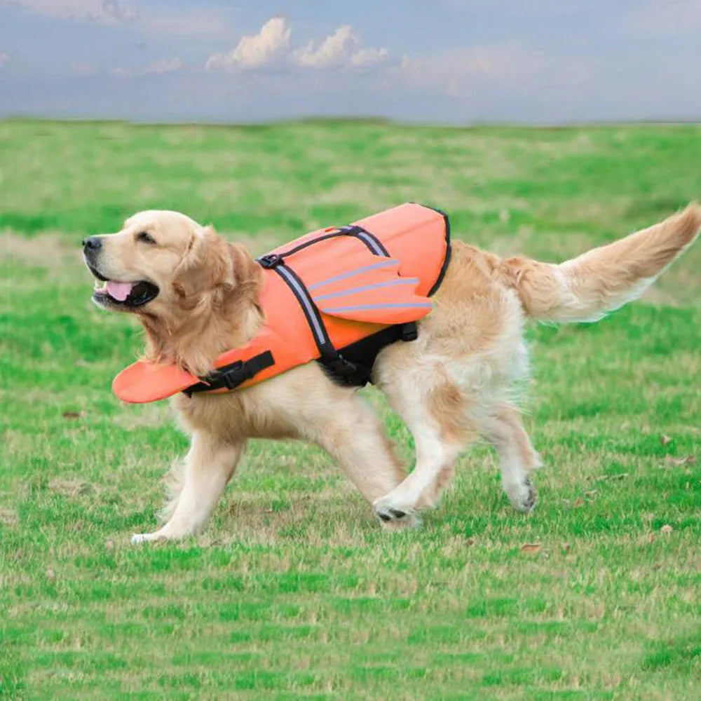 S277bb6971e974f14a15c2ce60112ff6an