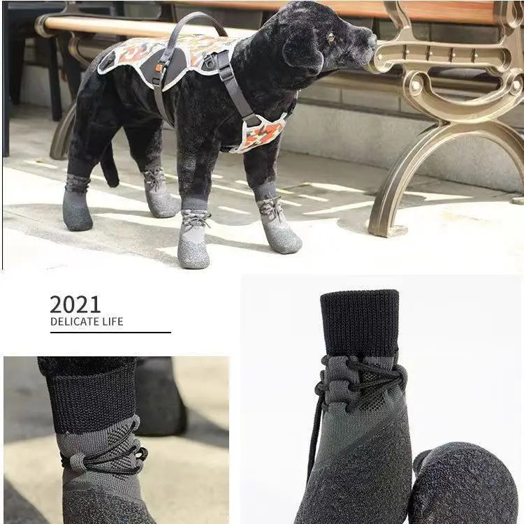 Sad444fa757f440c6aee9f48236e040a1b