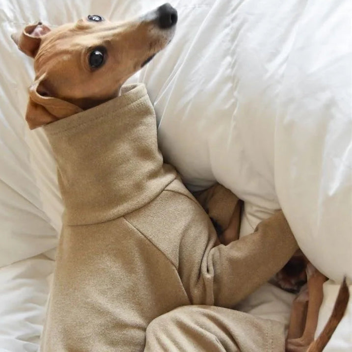 S4be5f95879b24567888192c9ae022deeI