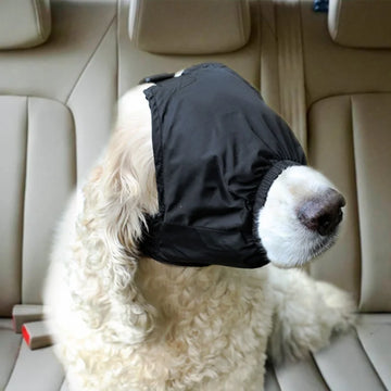 S534c5b75be4a41a5a5d51984e8f0f9bej