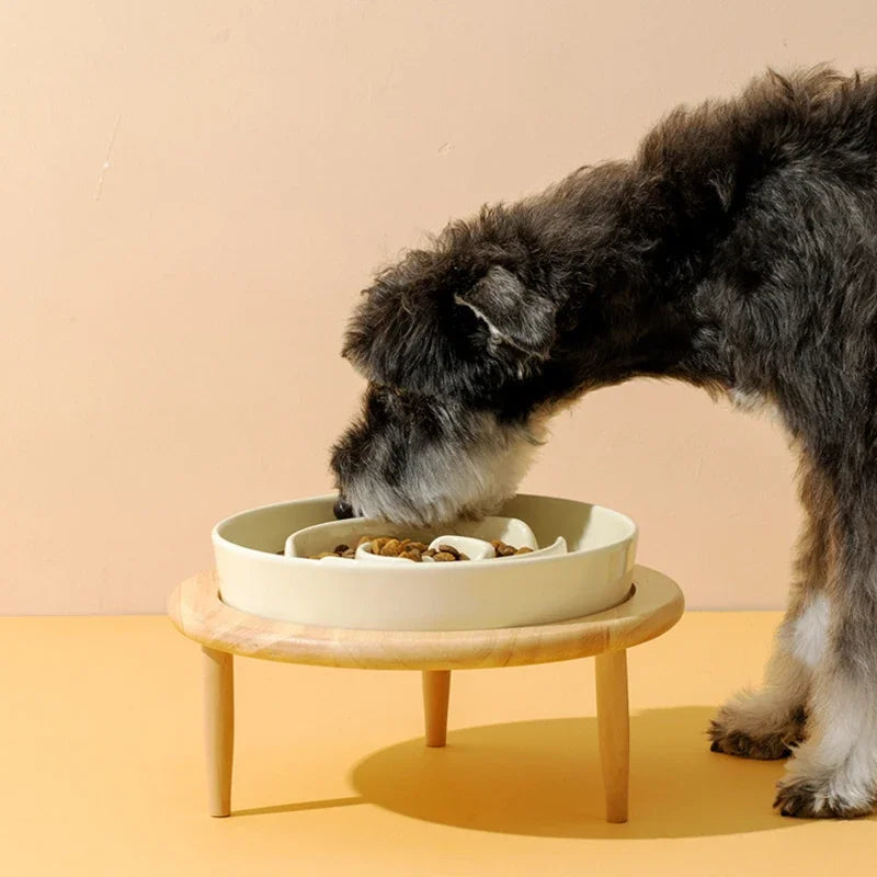 S01934f2ab1ca4994b5fc9ae5d704ebbep