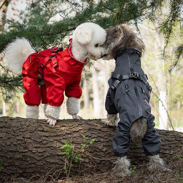 S7b1a5fa0d4eb40998c83fe9d7d23729fa