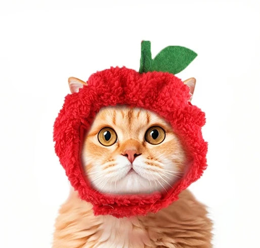 S86308275b31f4a9a8154703b5fa6cf05U