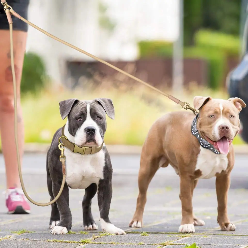 Sb88b61aa1f4b4c849a7c12b734801fd9d