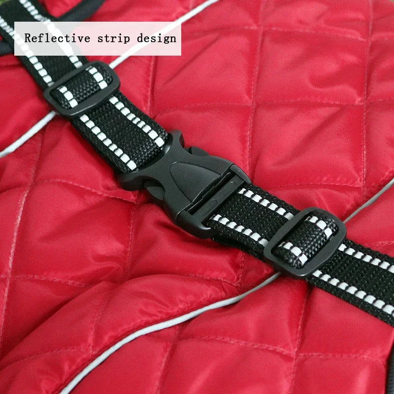 Sbaa14030b4d24389977a85058f900187y