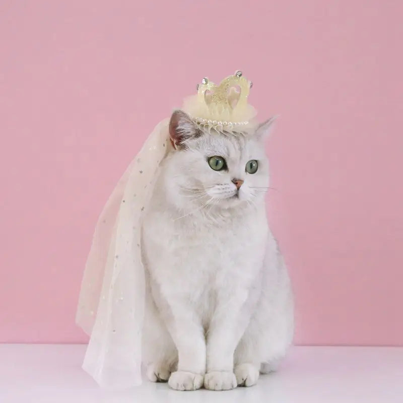 Sc503731a4f9247ef9c6adbd4e8330e57w