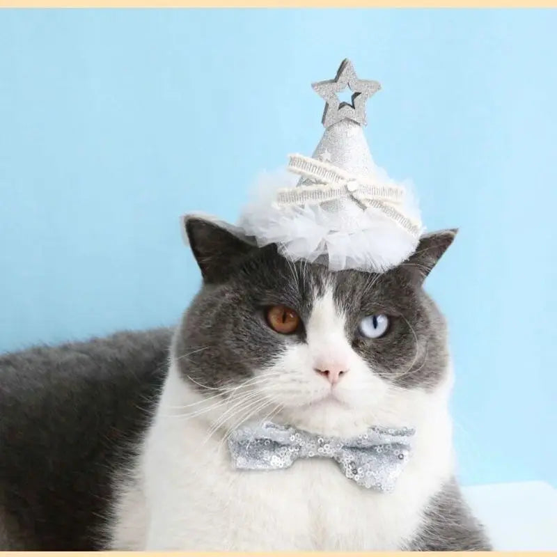 Sccb56b35a61f4b7ebaa161771e3cf839Y