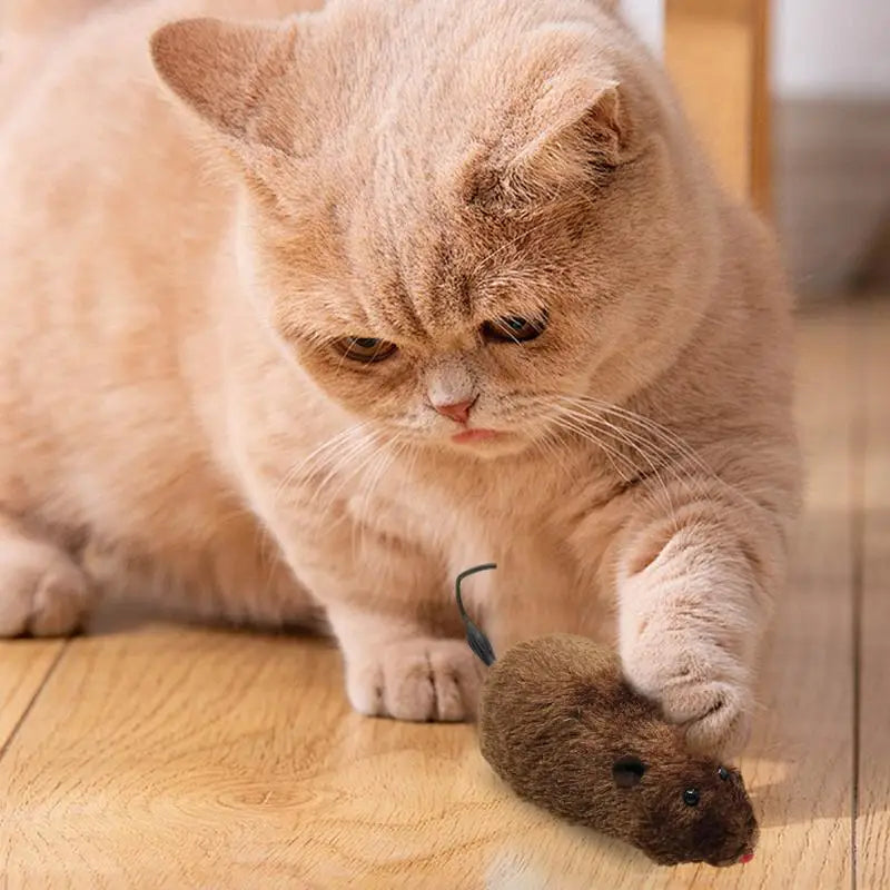 Sd554d0f2a75847bdb9c4709b8f895769d