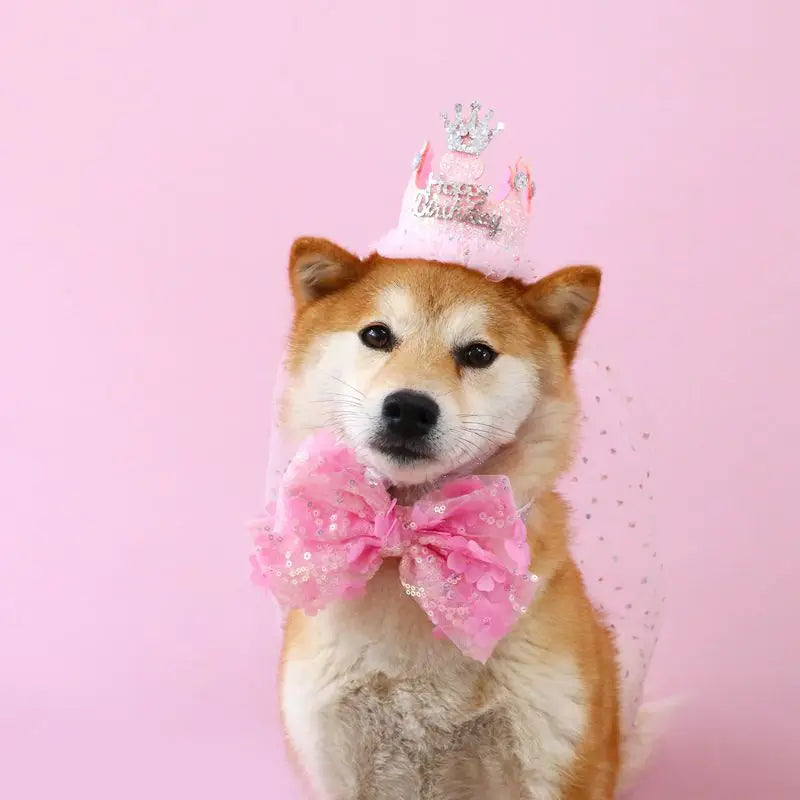 Sdce9c9b819294504b95089192b548681O