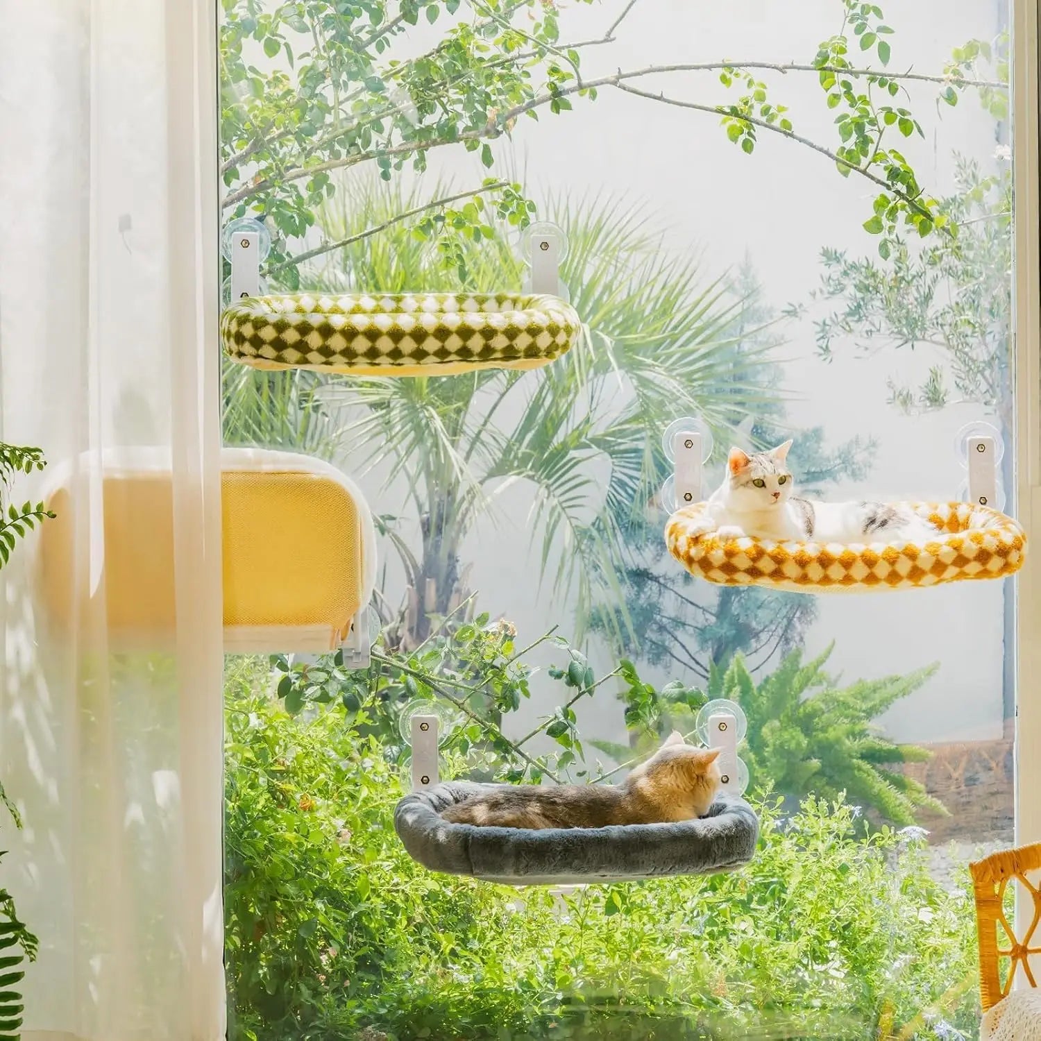 Sf79d1b3007664fef8dc8251a3db28371B