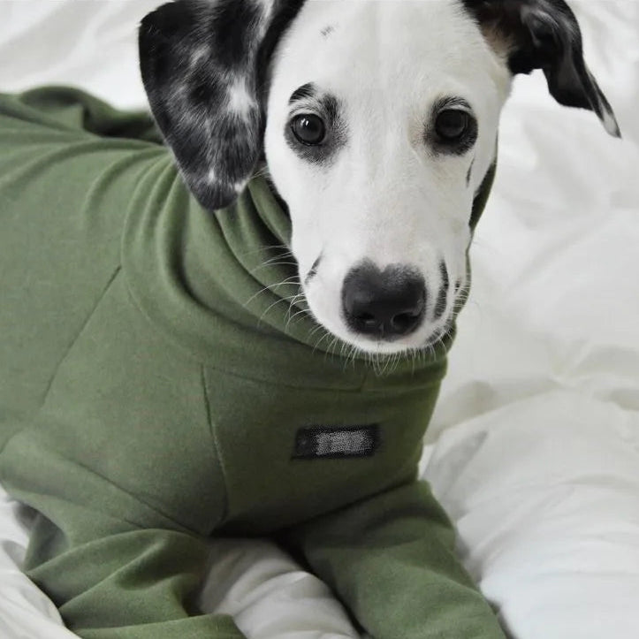 Sf972f178f1414fdda6095ad4e501ae57w