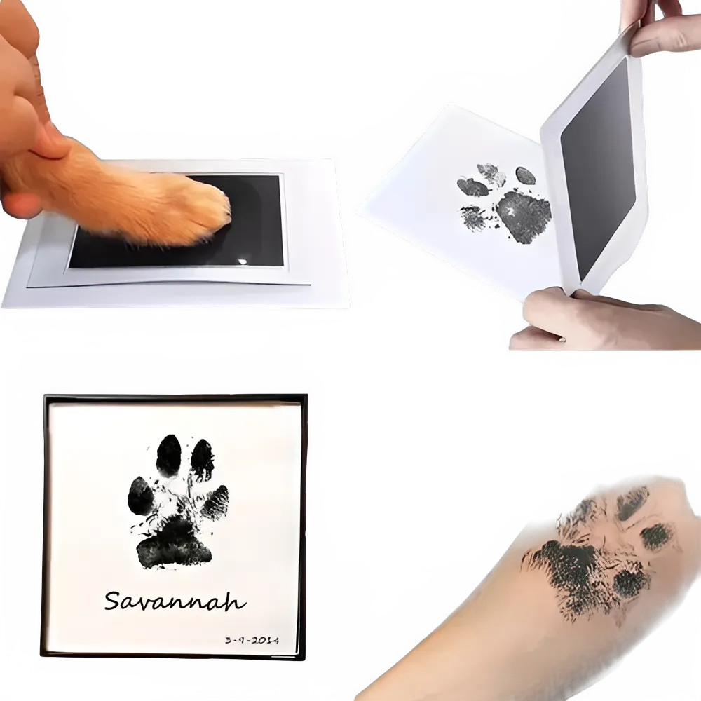 c905f374-4610-4d96-af34-7dda197bfecd