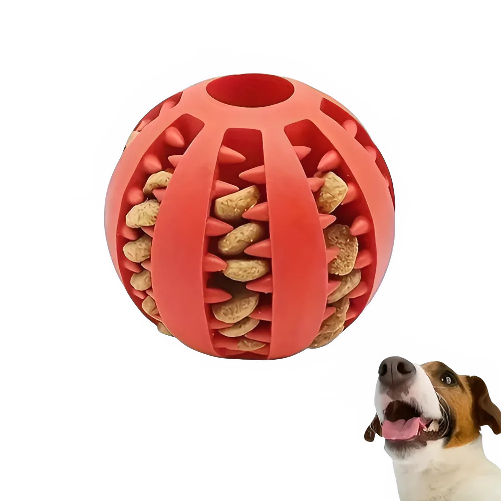 ebb2480f-beeb-446a-8e83-fd2e96fda44d