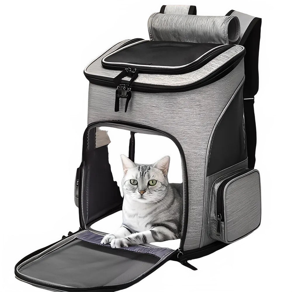 f9cb21ad-21f3-416f-b5e1-744686e67340