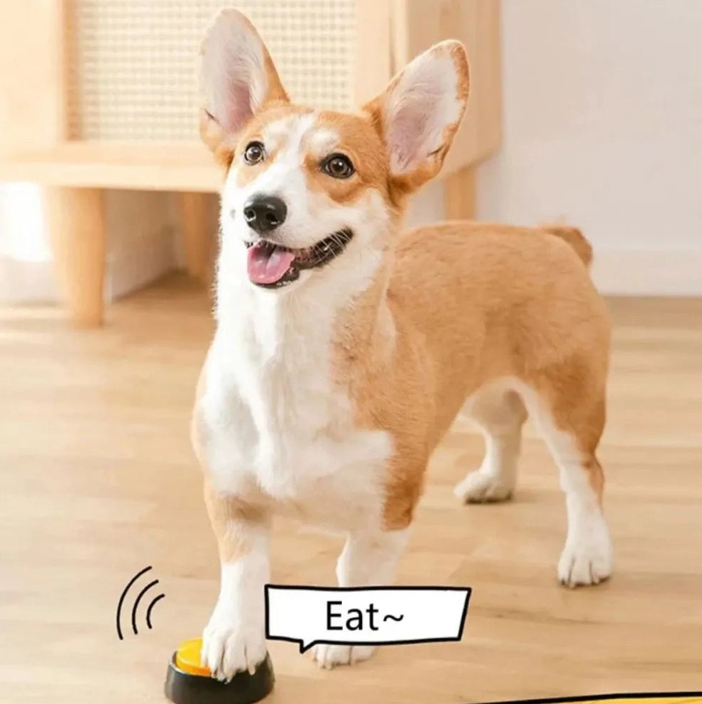 Pet Communication Button